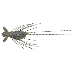 Evergreen Flutter Gizmo 1.5" Freshwater Shrimp