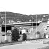LN-QE-B50 black and white image