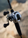 Daiwa AIRD 80H Baitcasting Reel 7.5:1 Left Hand Crank AIR80HL