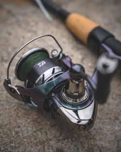 Daiwa Regal LT 2000 Spinning Reel RGLT2000D-XH-B