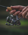 Daiwa Regal LT 3000 Spinning Reel RGLT3000D-CXH-B