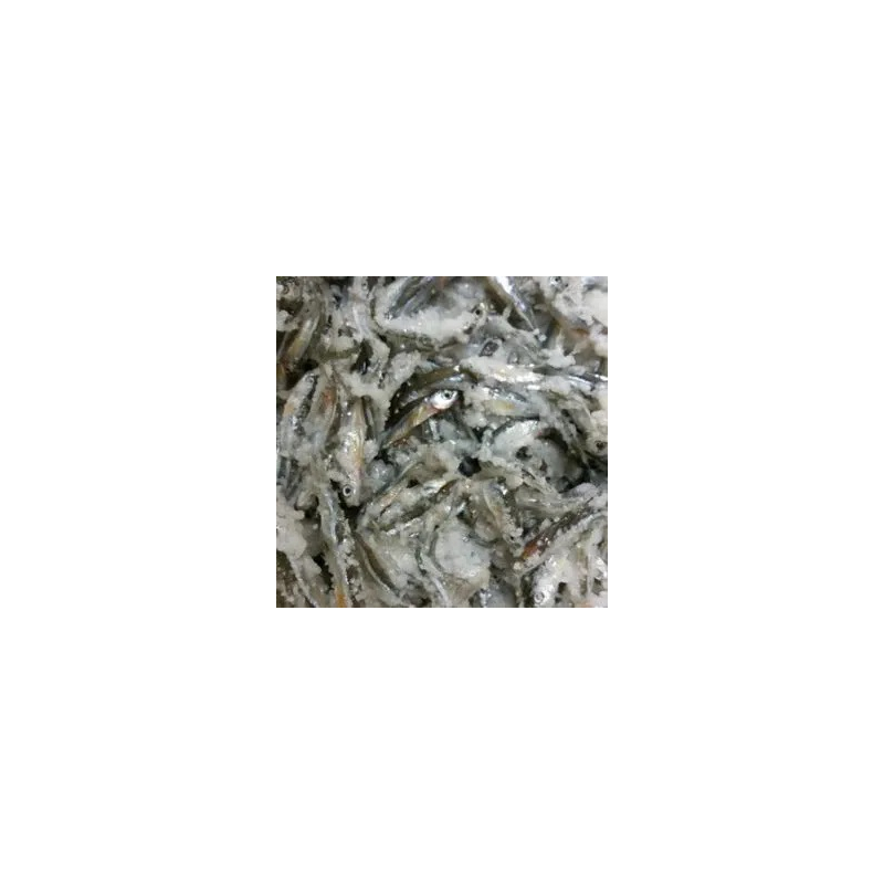 Salted Emerald Shiner Minnows - Bait for Sale in Williamsport, PA