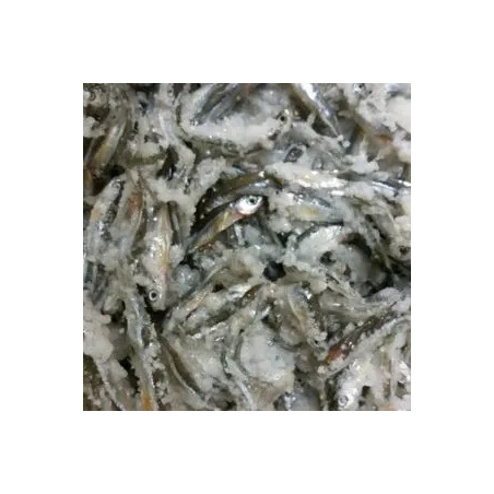 Salted Emerald Shiner Minnows - Bait for Sale in Williamsport, PA