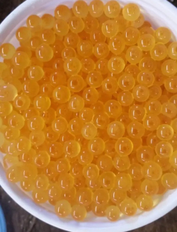 Salmon Eggs - 2 Ounce Jar - Bait for Sale in Williamsport, PA