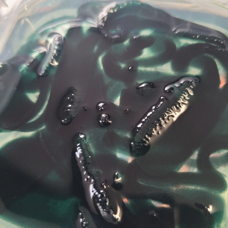 Evergreen Bio Frogs - Pack of 10 - Bait for Sale in Williamsport, PA