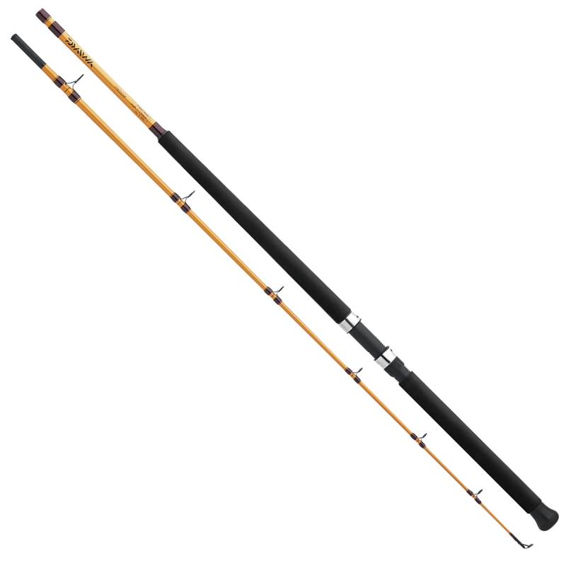 Daiwa FT Spinning Surf Rod FTS902MFS
