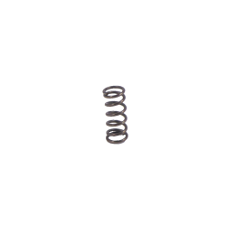 Tech Sights Detent Spring TS00135