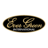 Evergreen Baits
